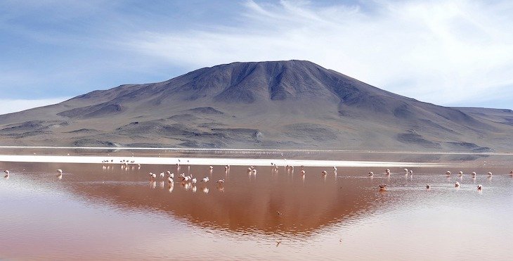 Laguna Colorada - Bolivia ©Kaniri:Pixabay