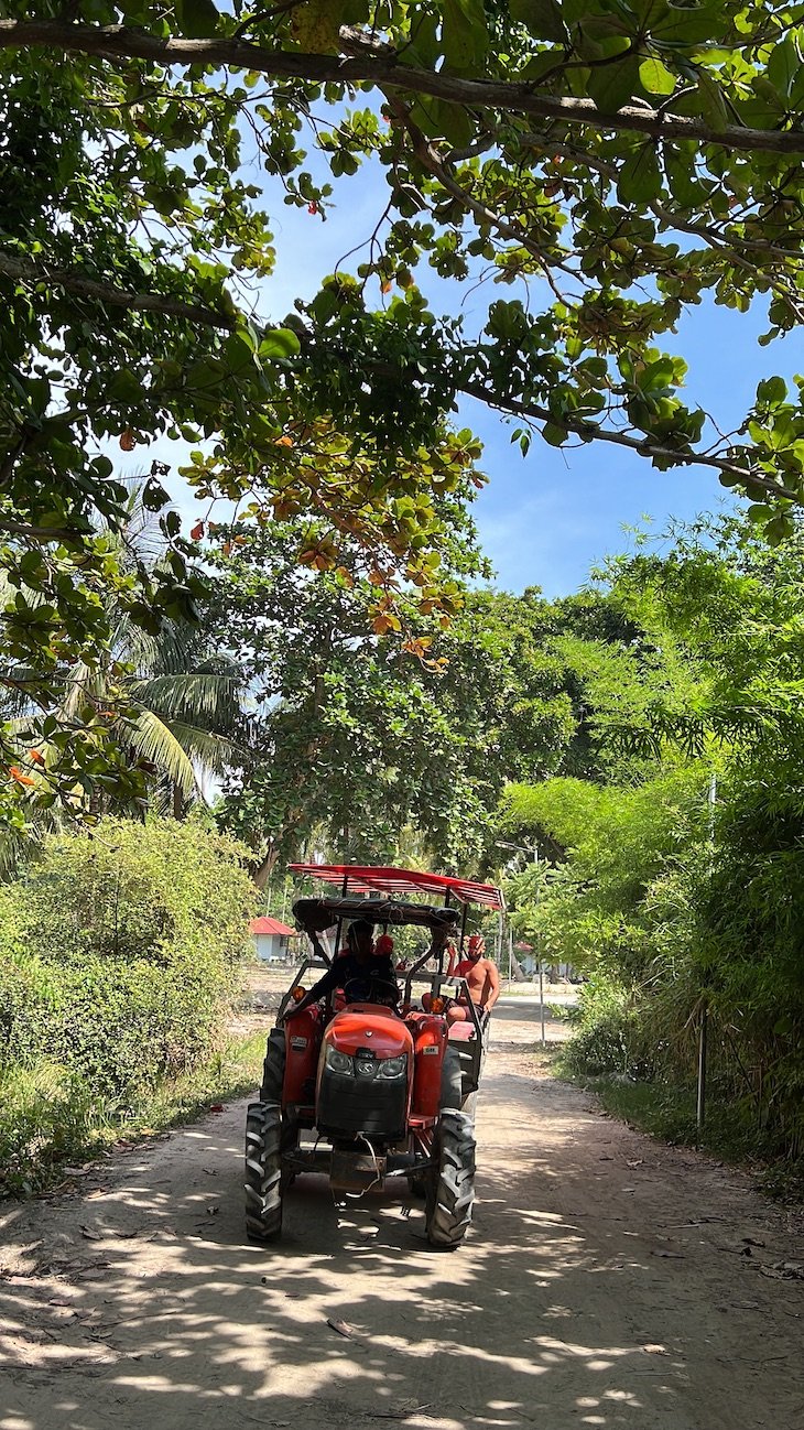 Tour nas Ilhas Coral e Racha, Tailândia | Viaje Comigo