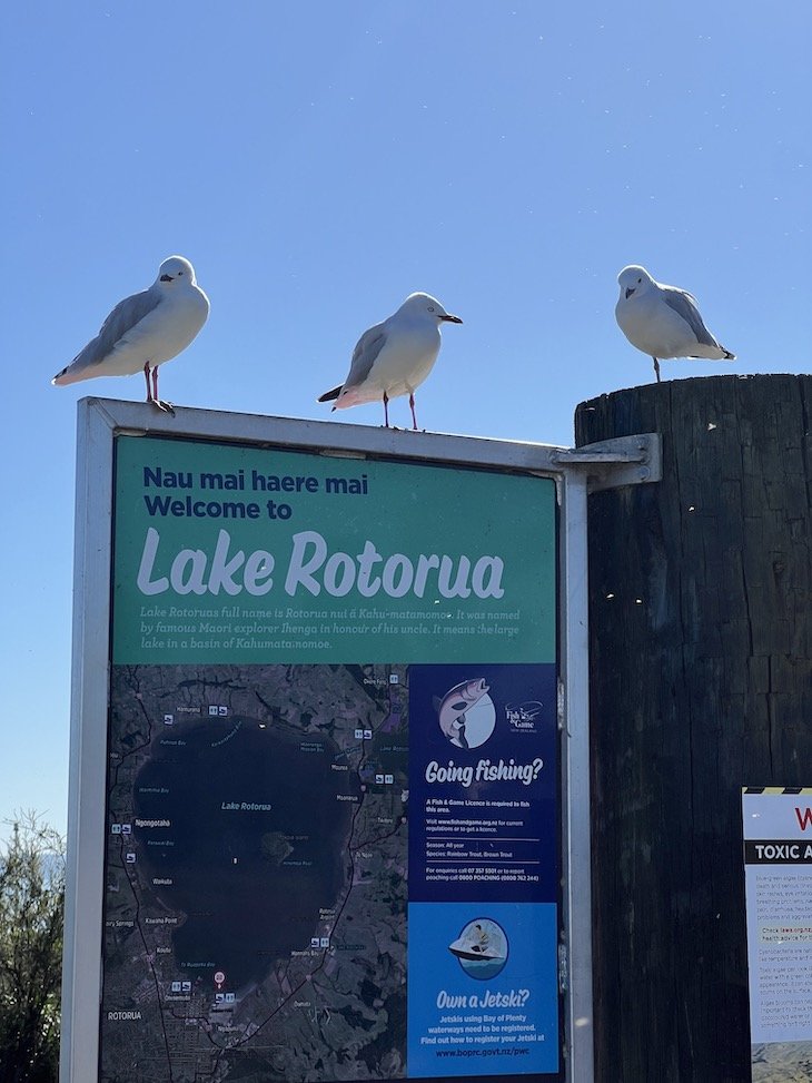 Rotorua: centro da cultura Māori -Nova Zelândia|Viaje Comigo
