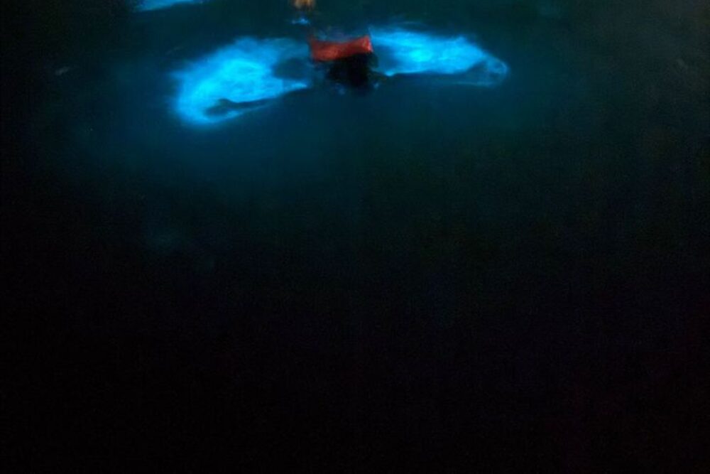 Luminous Lagoon - Jamaica © Viaje Comigo
