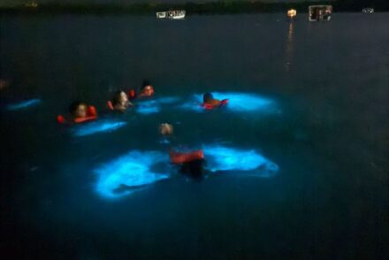Luminous Lagoon - Jamaica © Viaje Comigo