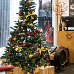 Rota dos Vinhos do Tejo©