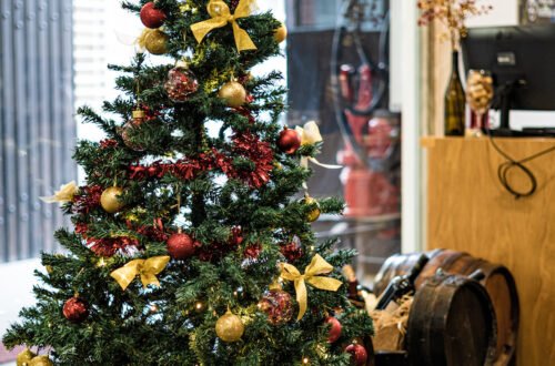 Rota dos Vinhos do Tejo©