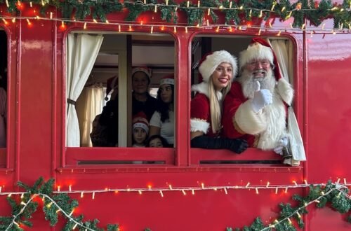 Comboio Histórico do Vouga - Natal