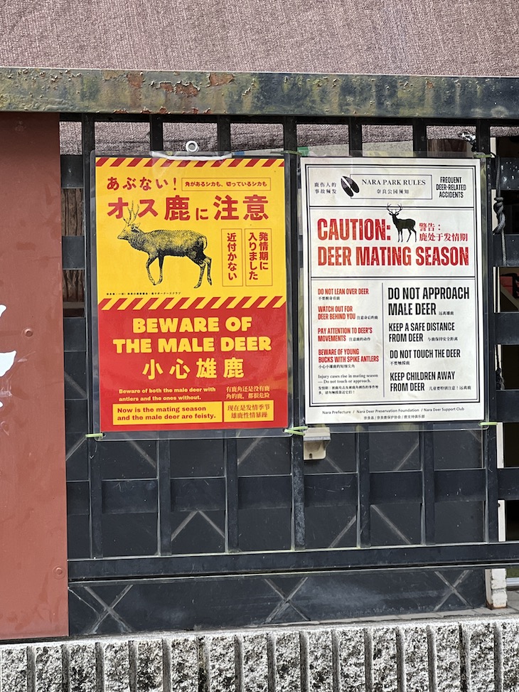 Nara - Japão © Viaje Comigo