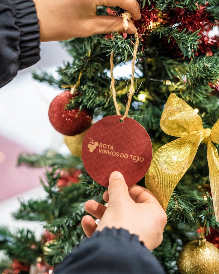 Rota dos Vinhos do Tejo©