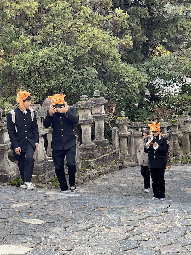 Nara - Japão © Viaje Comigo