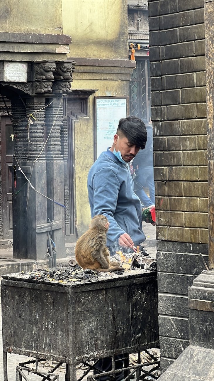 Templo dos Macacos - Swayambhunath - Nepal © Viaje Comigo