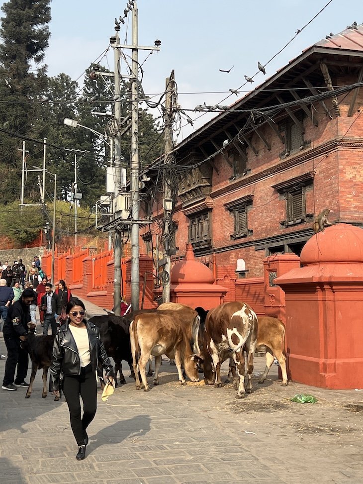 Templo Pashupatinath - Catmandu - Nepal © Viaje Comigo