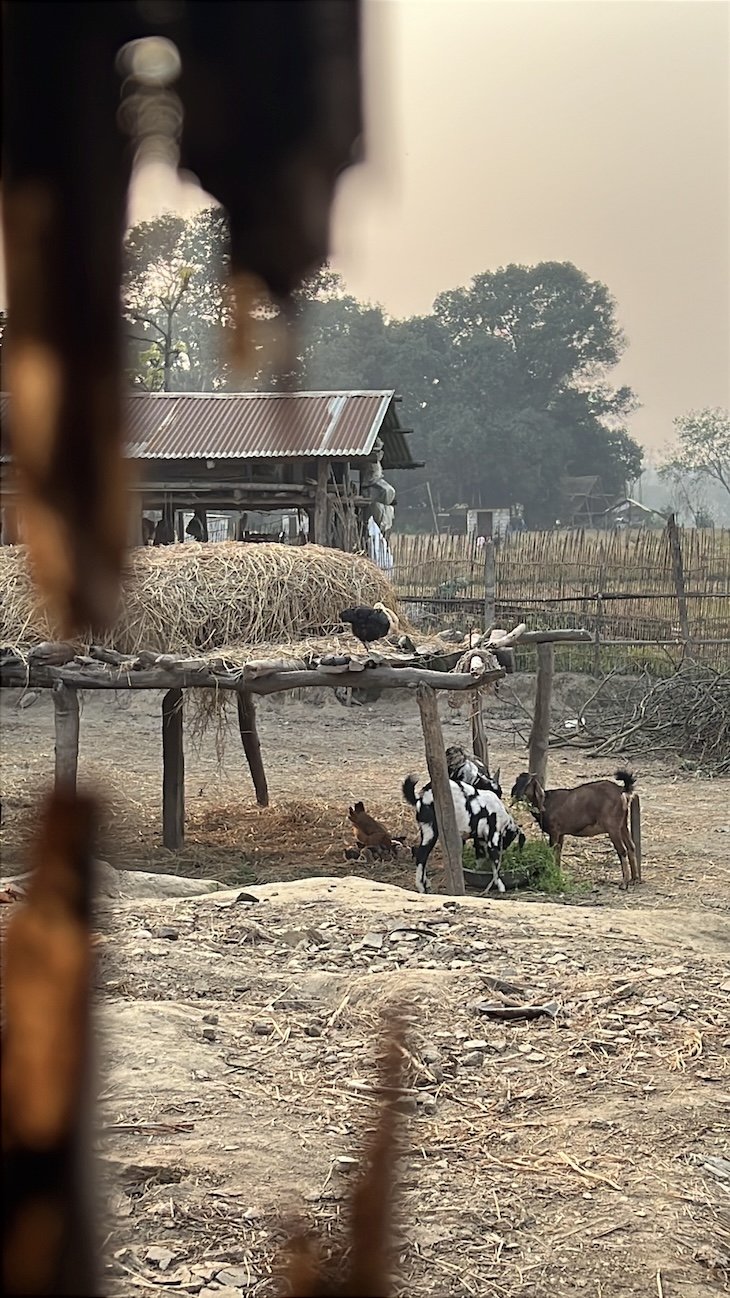 Povo Tharu - Chitwan - Nepal © Viaje Comigo