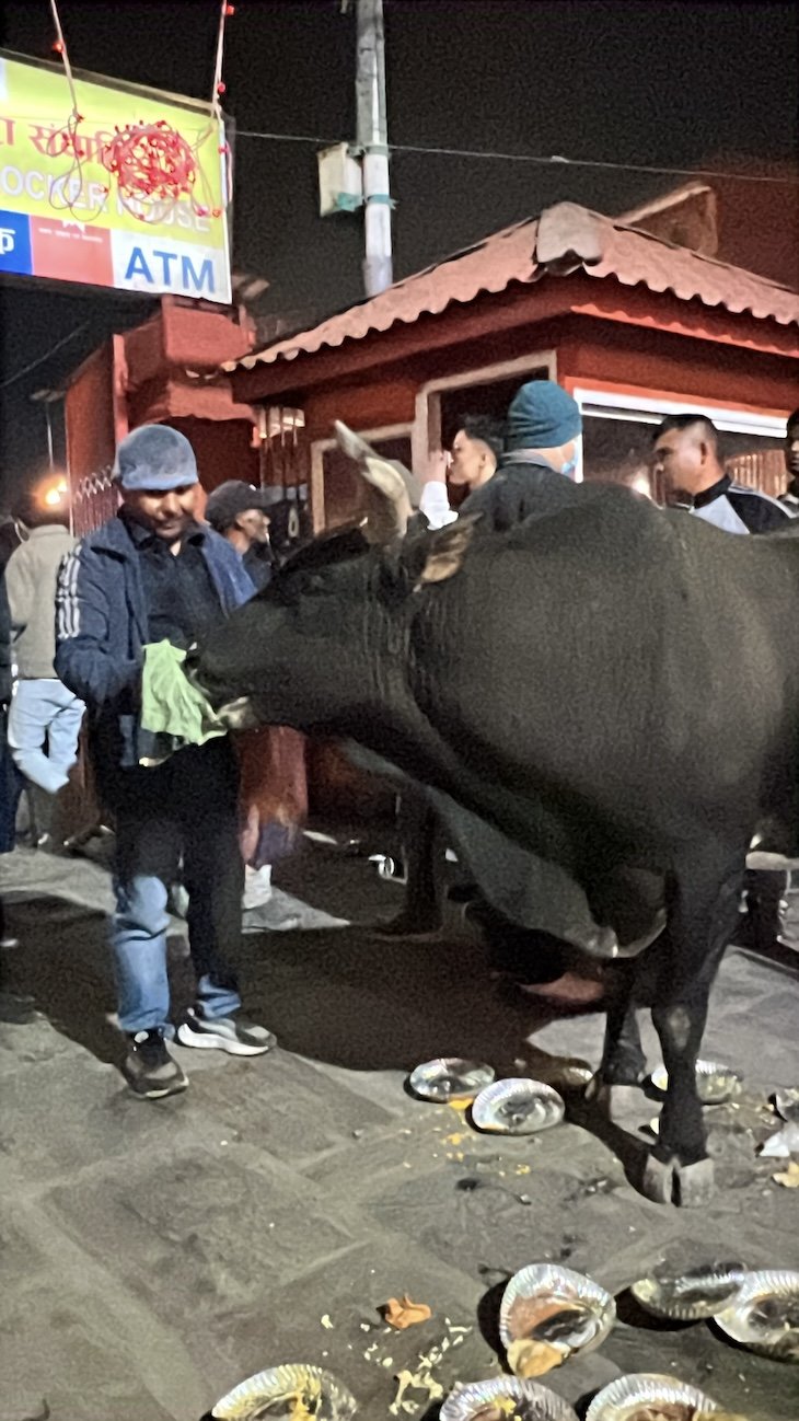 Festival Maha Shivaratri - Templo Pashupatinath - Catmandu - Nepal © Viaje Comigo