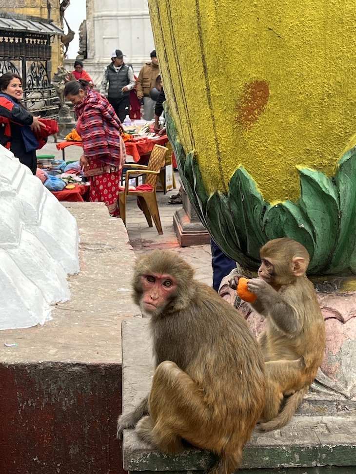 Templo dos Macacos - Swayambhunath - Nepal © Viaje Comigo