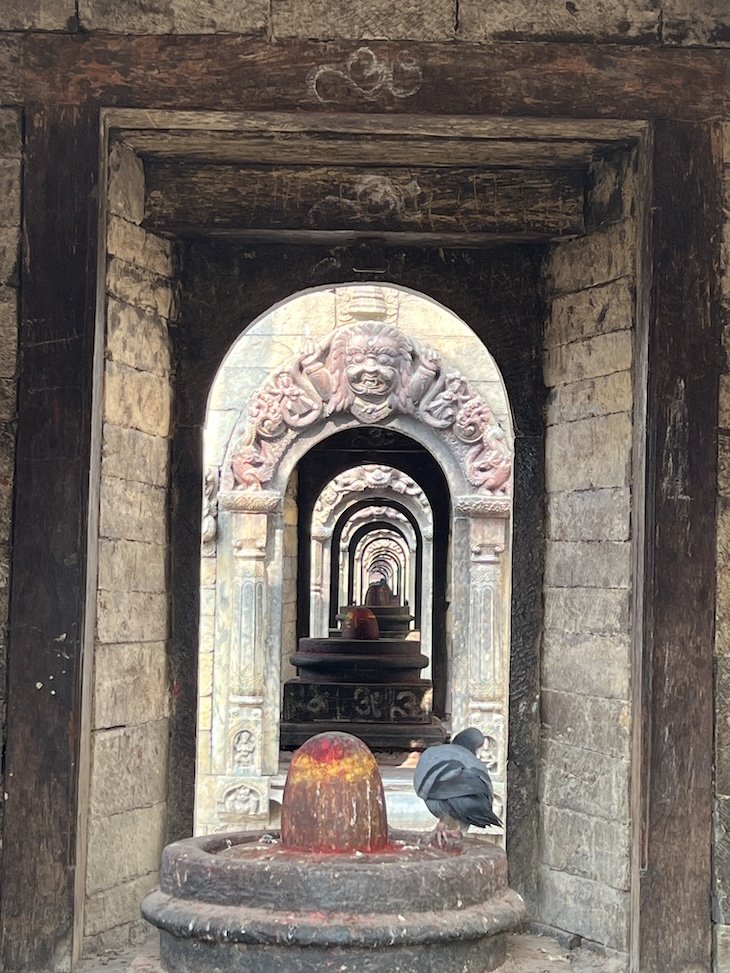 Templo Pashupatinath - Catmandu - Nepal © Viaje Comigo