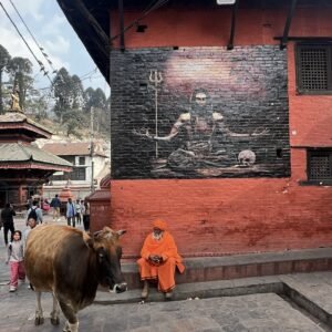 Templo Pashupatinath - Catmandu - Nepal © Viaje Comigo