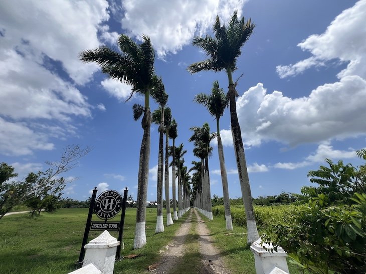 Hampden Estate - Jamaica © Viaje Comigo