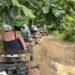 ATV Bambuza - Negril -Jamaica © Viaje Comigo