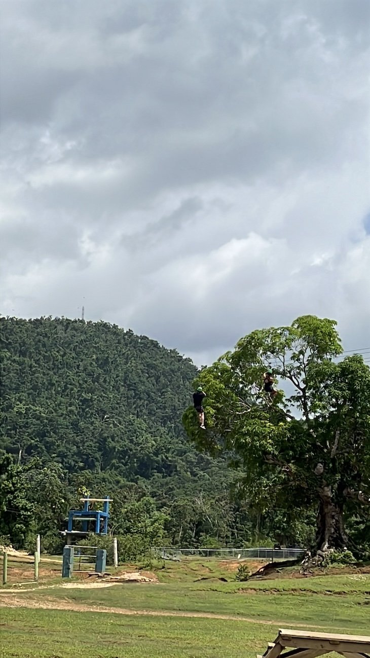 Zipline em Bambuza - Negril -Jamaica © Viaje Comigo
